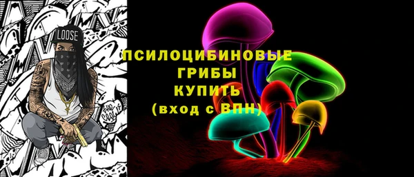 а пвп мука Абаза
